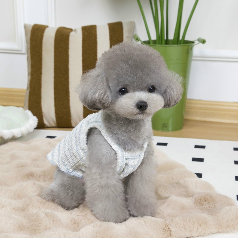 薄手ペットベスト