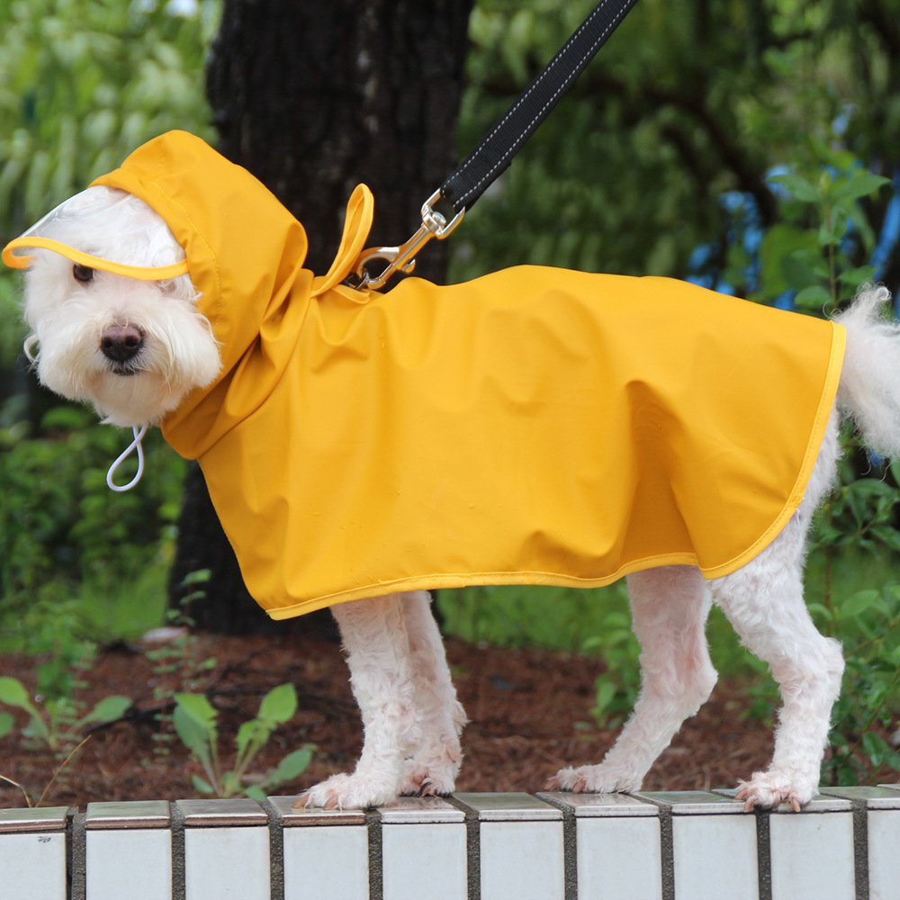 Pet Cute Pet Belly Protection Raincoat