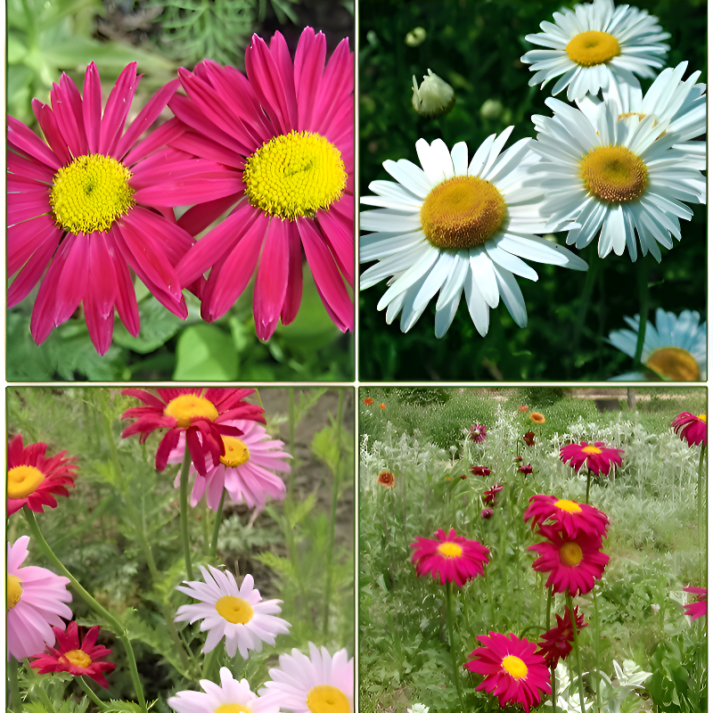 혼합 컬러 사계절 모기 차단 화분