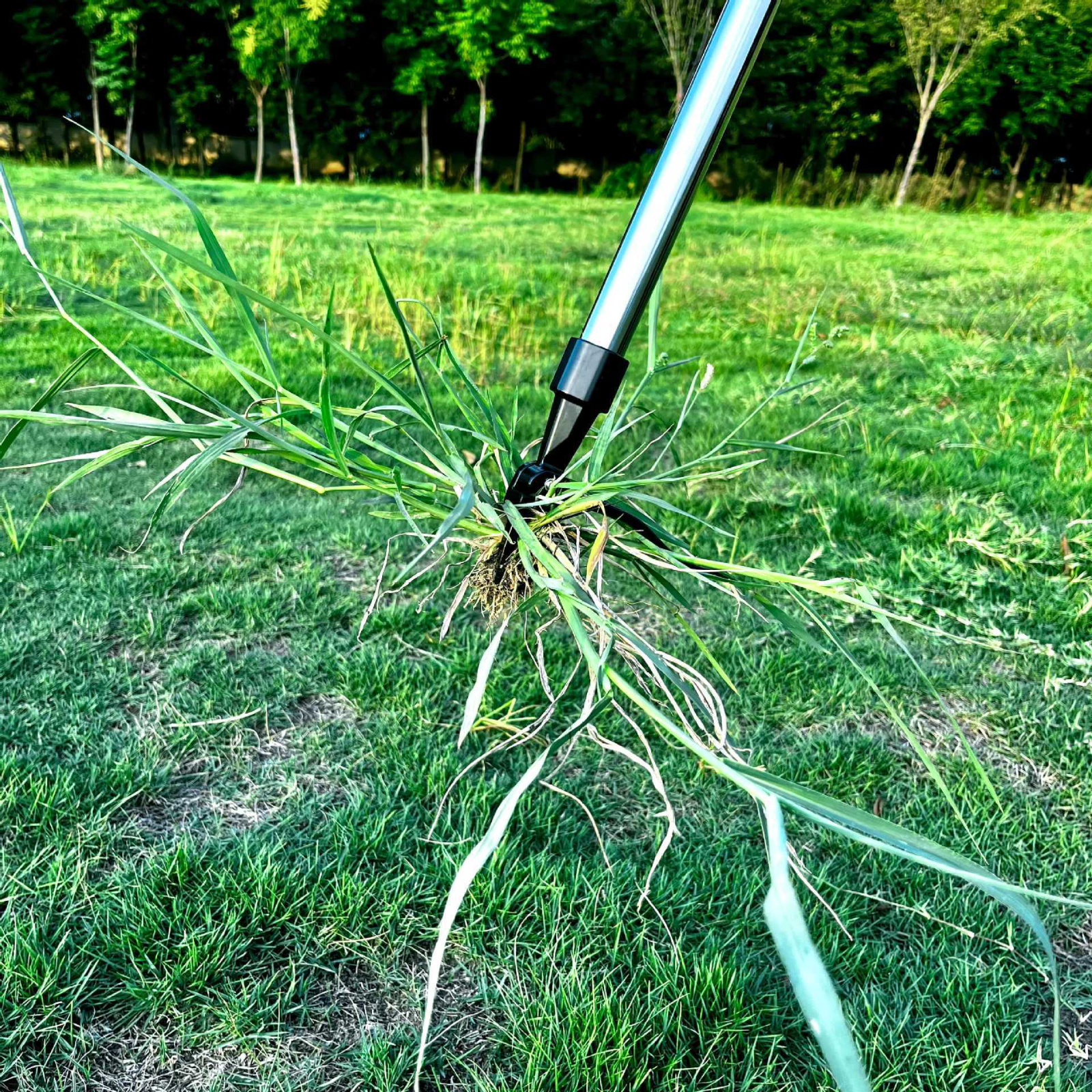 長さ調節可能なスタンド式根こそぎ除草ツール