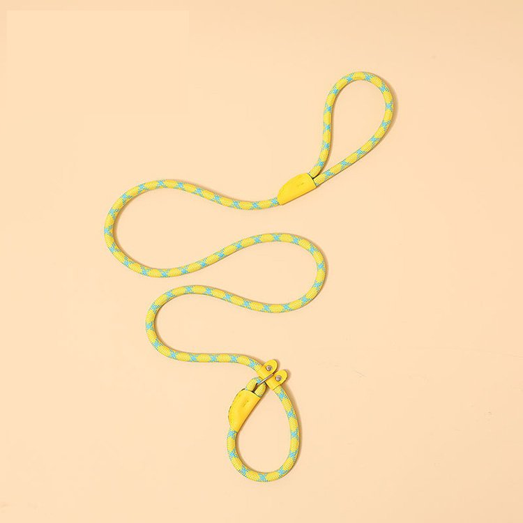 Non-Force Anti-Explosion Nylon Braided Dog Leash