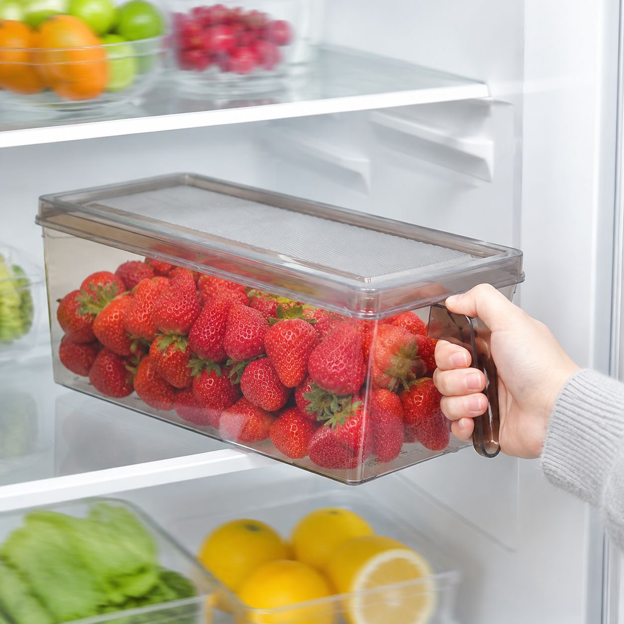 5L Multi-functional Fridge Storage Box with Handle, Easy to Organize