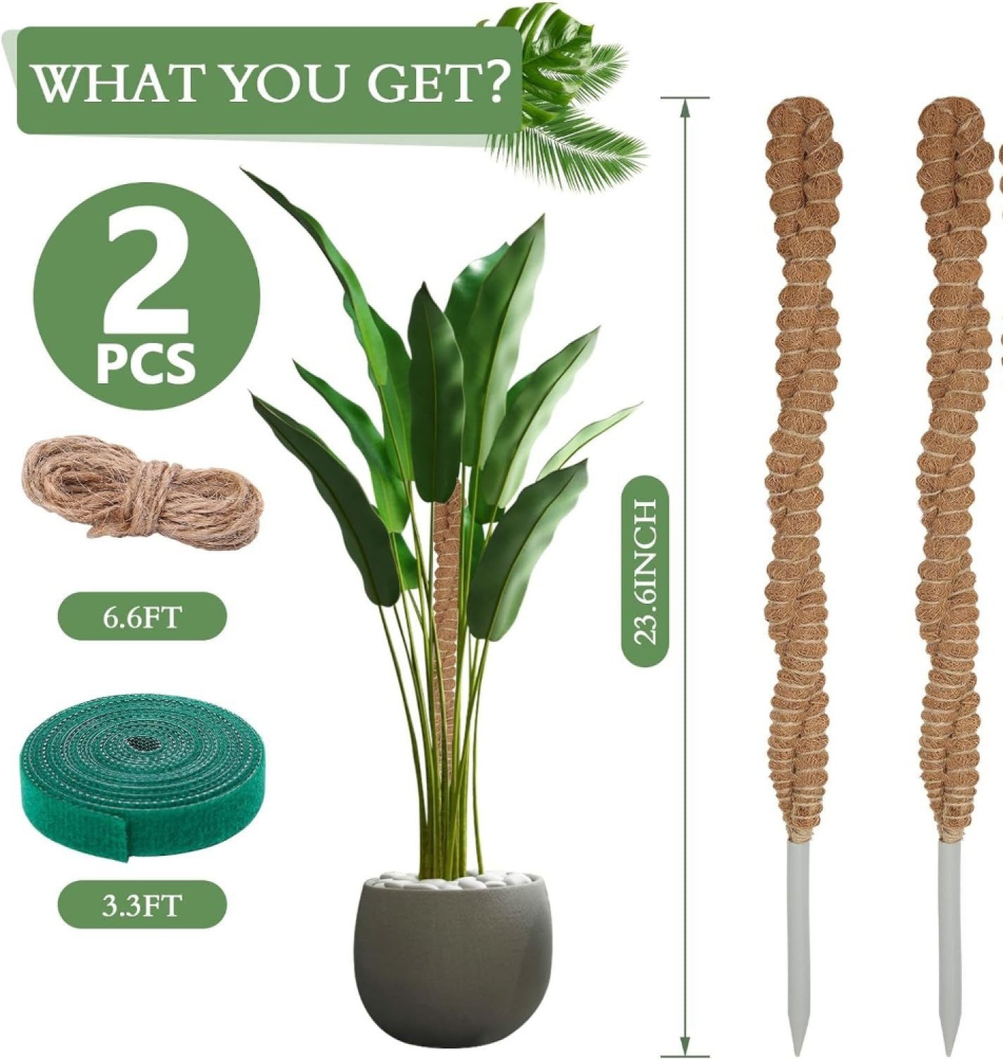 Bendable Coir Plant Support Poles, 2-Pack