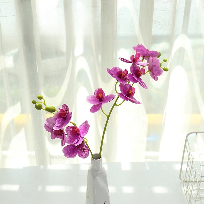 鉢植え植物の装飾品