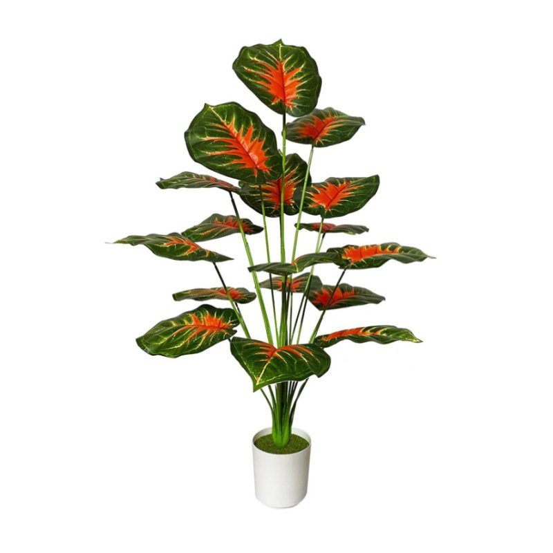 Green plants, potted plants, palm trees, flooring plants