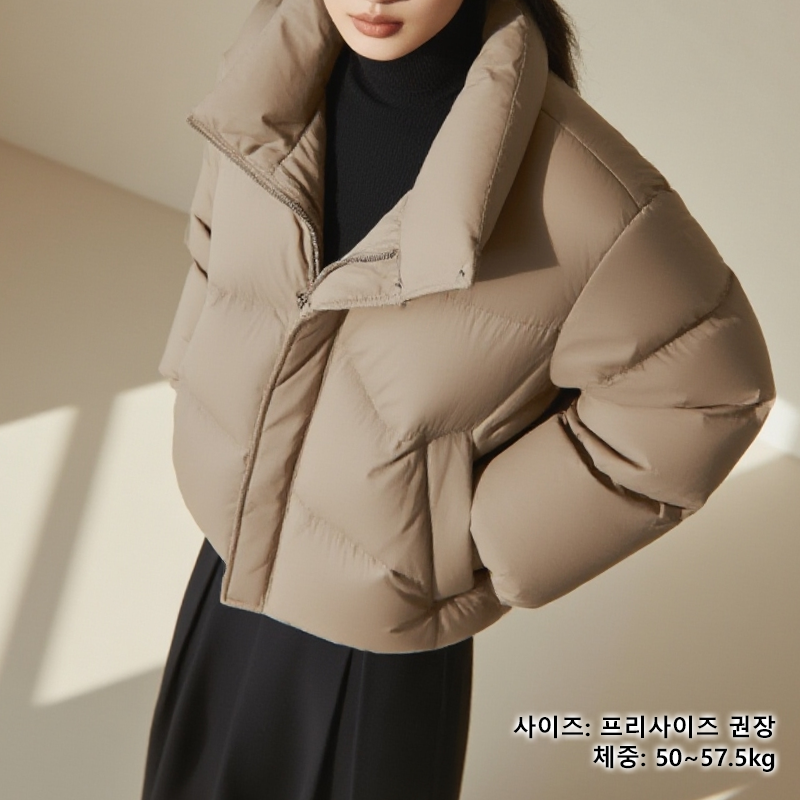 진갈색 숏 다운 점퍼 후면 디자인