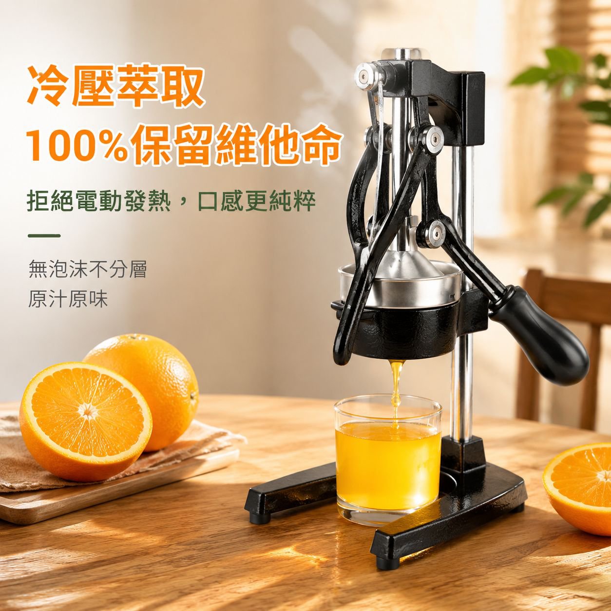 家用不鏽鋼果汁壓榨器