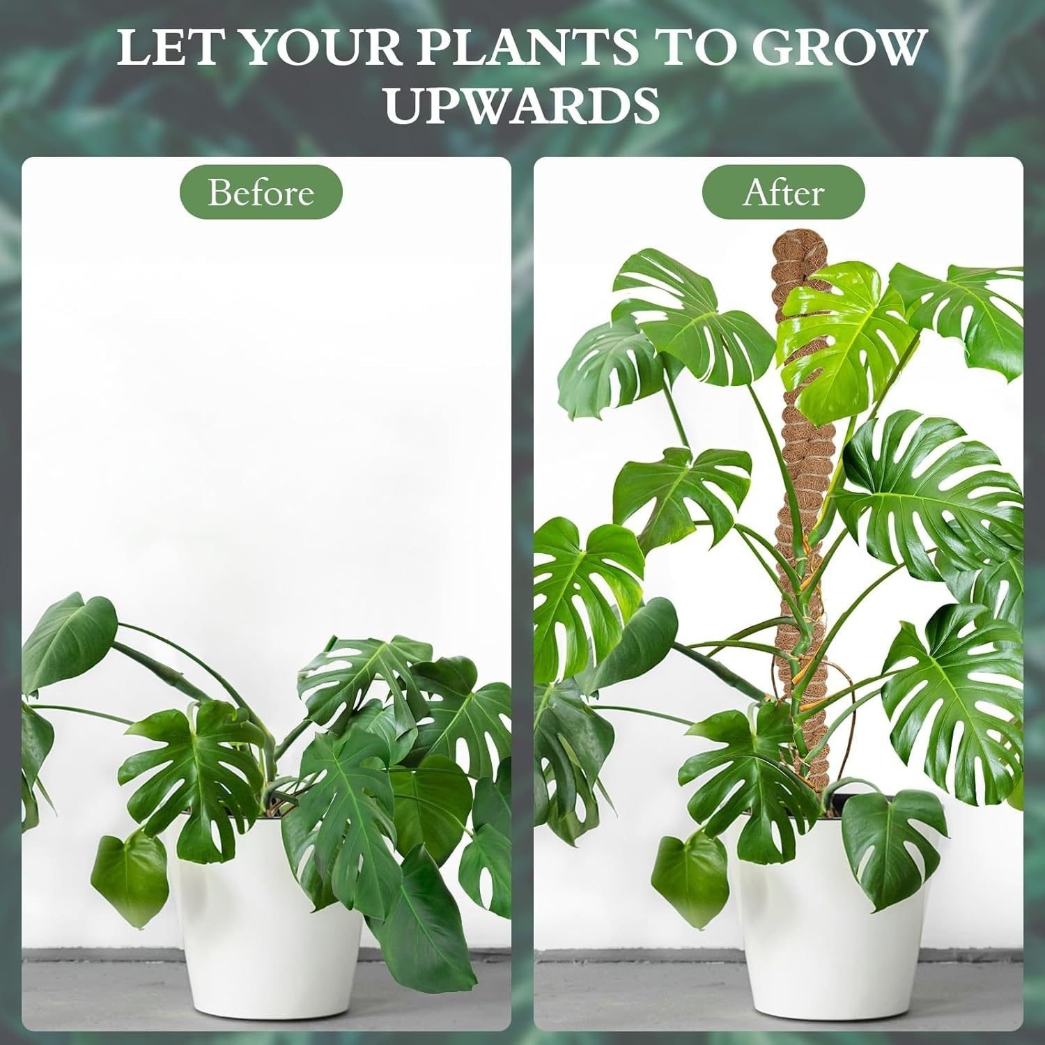 Bendable Coir Plant Support Poles, 2-Pack