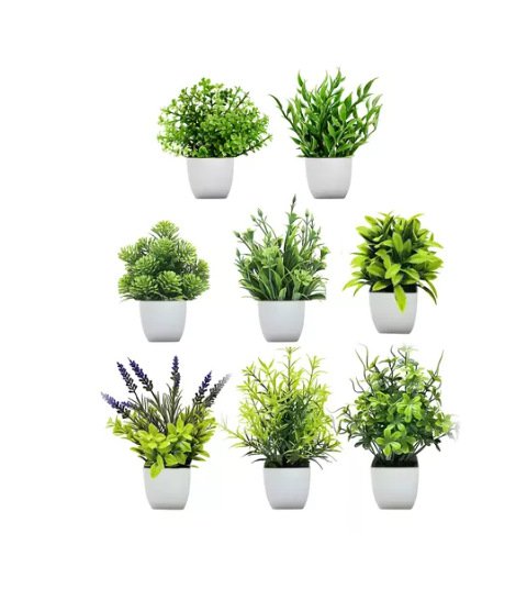 ラベンダーとローズマリーの鉢植え