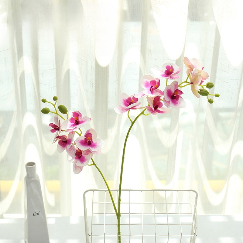 鉢植え植物の装飾品