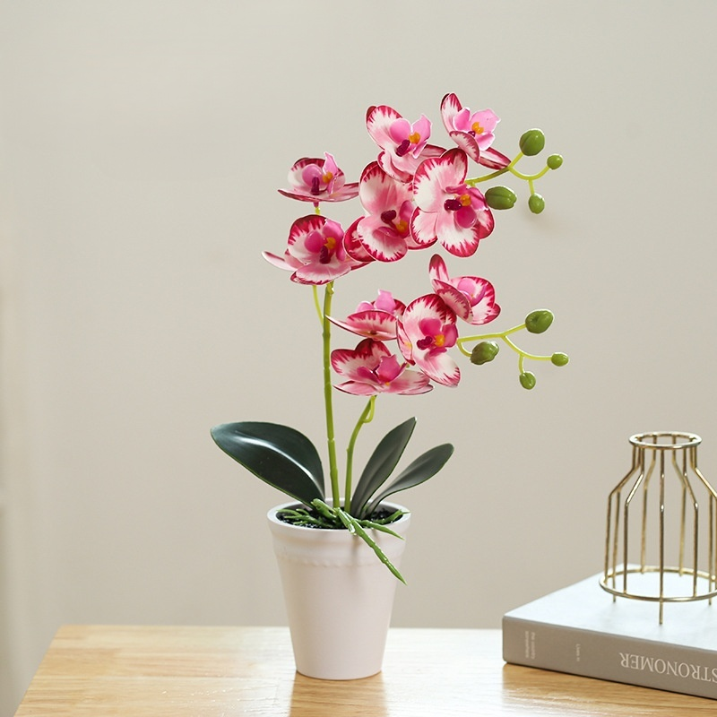 鉢植え植物の装飾品