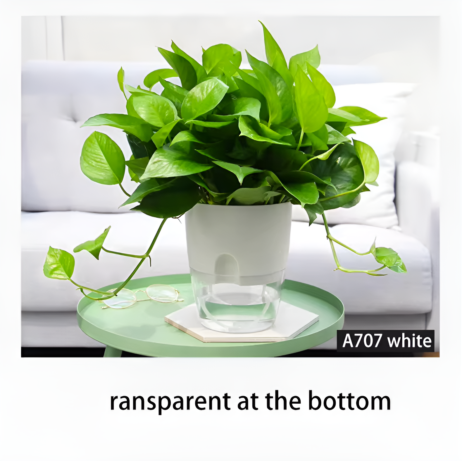 Self-Watering Lazy Flower Pot - Automatic Water Supply at the Bottom, Transparent Water Tank, Wa