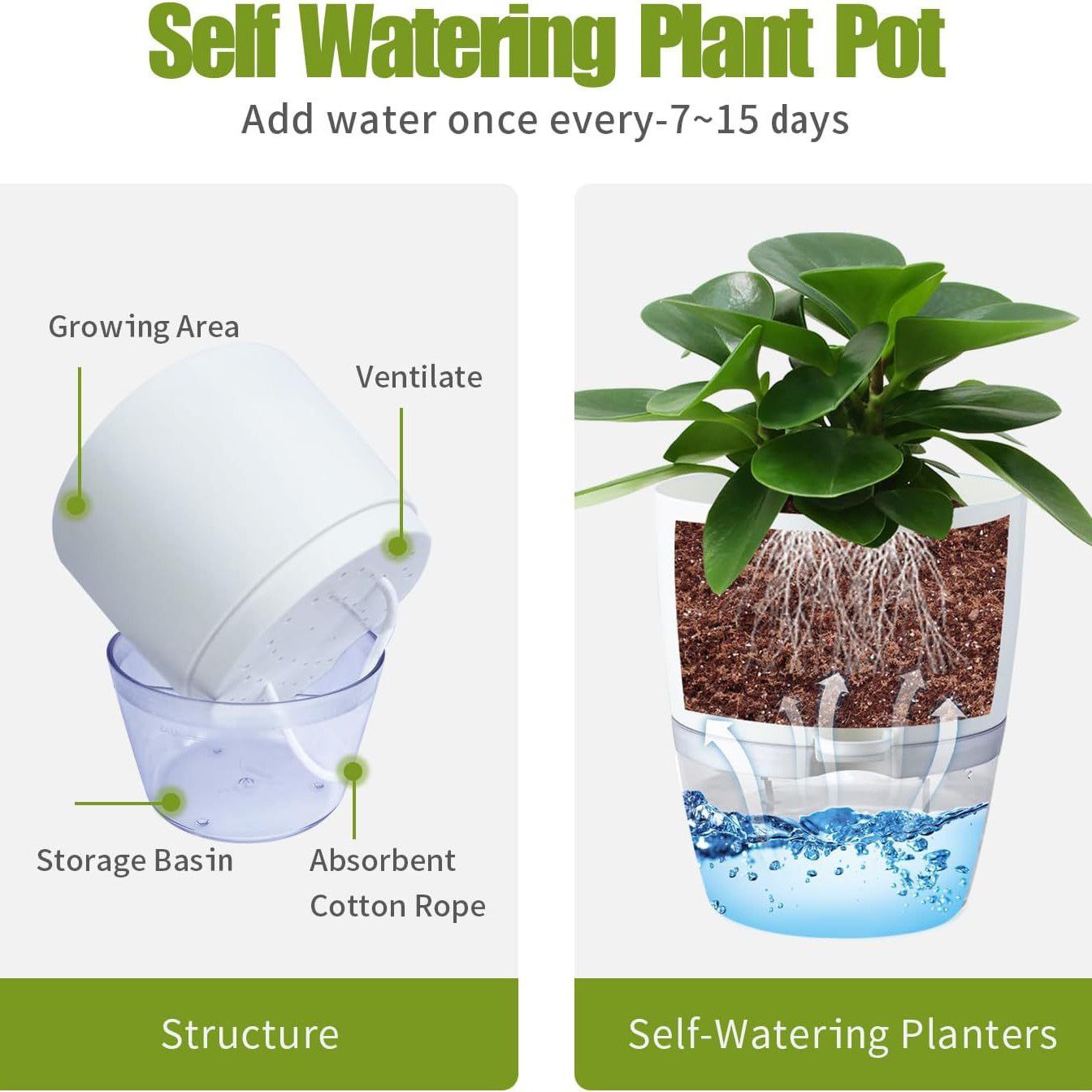 Self-Watering Lazy Flower Pot - Automatic Water Supply at the Bottom, Transparent Water Tank, Wa