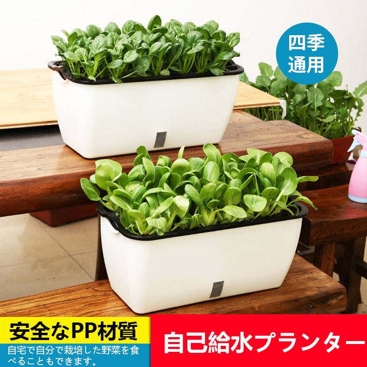 自己給水プランター