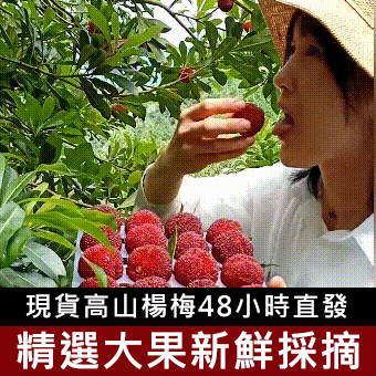 【48小時從枝頭到舌尖，無添加製作】冰糖楊梅幹