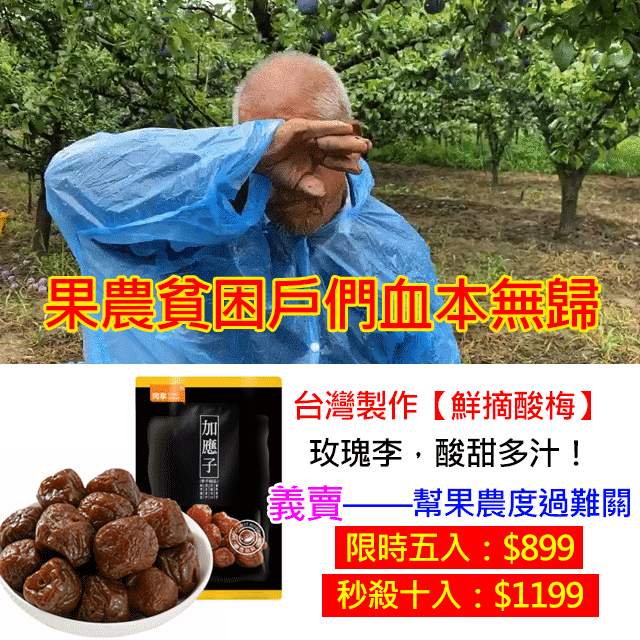 台灣製作【鮮摘酸梅】台中玫瑰李，酸甜多汁！義賣——幫助果農度過難關