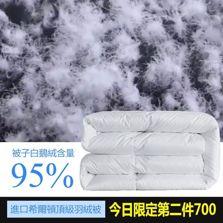 最後3天活動！（HiLTON希爾頓羽絨被五星級飯店專用品– 限時優惠）225283#頂級羽絨被