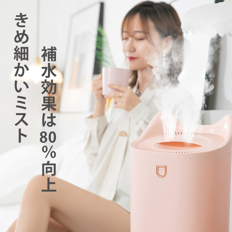 大容量ツインノズル加湿器  大容量 ツインノズルデザイン エンクロージャーライト 静音モード搭載