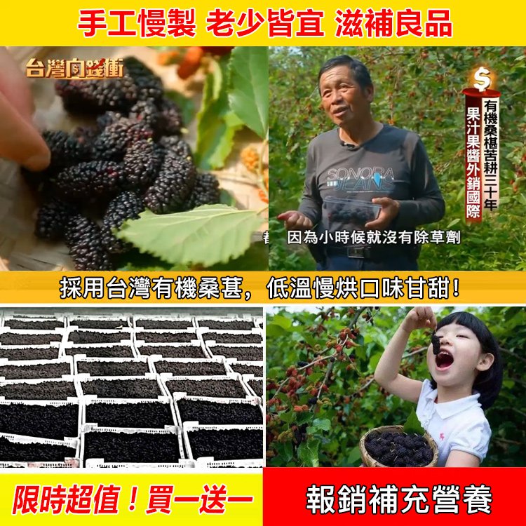 【吳明珠中醫診所 醫療保健管理員】台湾有機黑桑葚乾