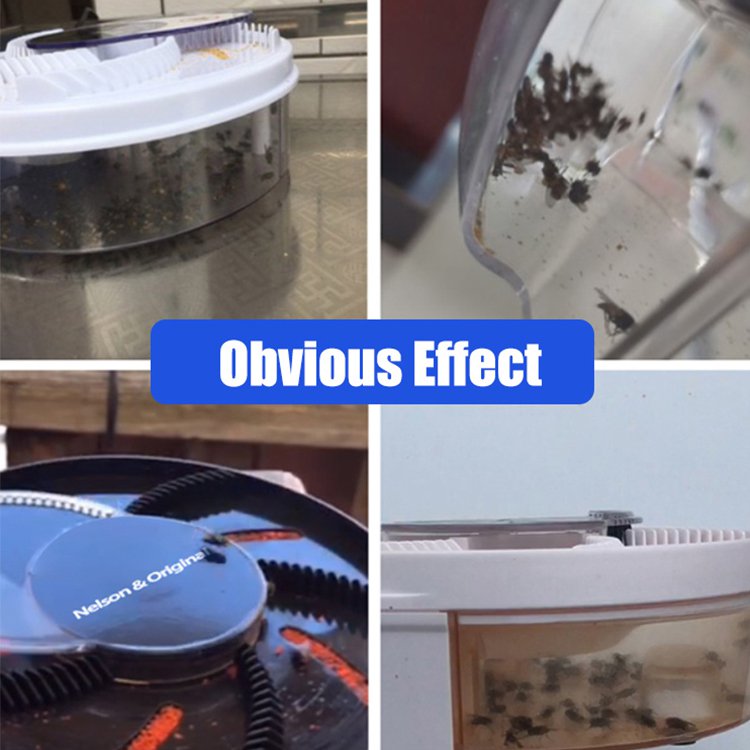 New Arrival Automatic Fly Trap