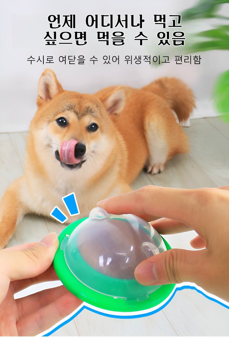 반려견 영양 보충용 영양밤 이미지