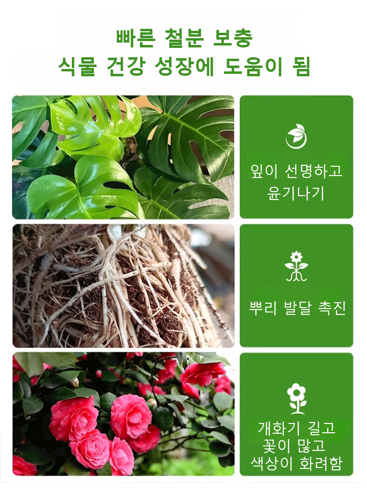 [꽃피기 촉진] 신상 황산철 토양 광합비료