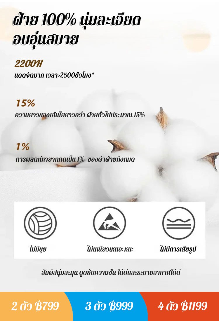 เสื้อกล้ามลายทางคอกลมแฟชั่น