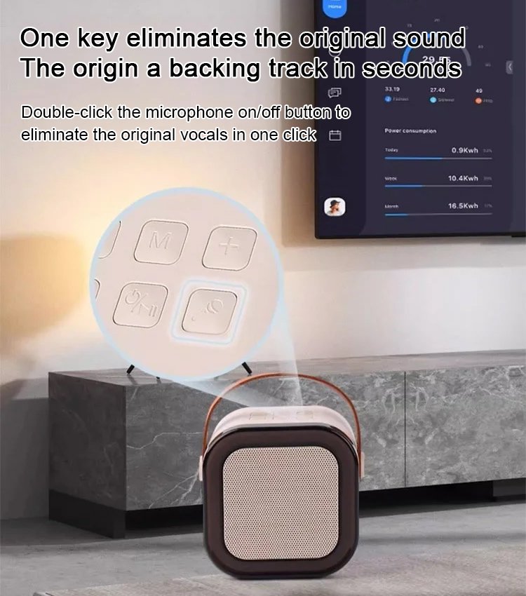 Portable Wireless Karaoke Speaker with Mic