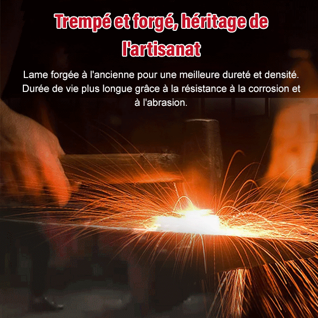 Couteau à désosser multifonction en acier inoxydable