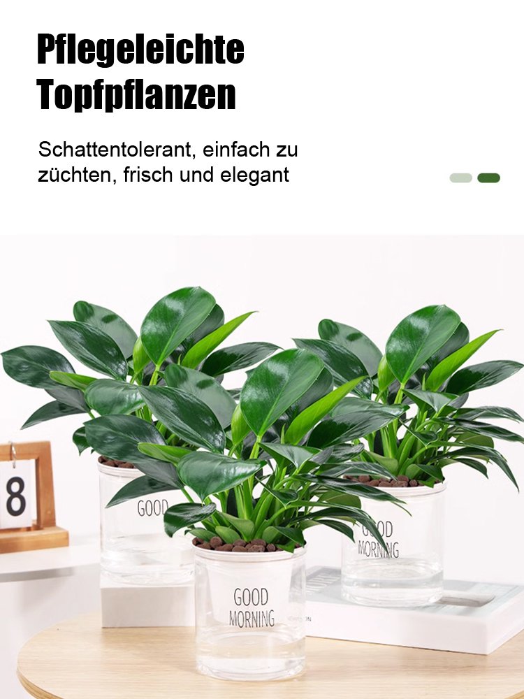 Nach Bestellmenge bestellen