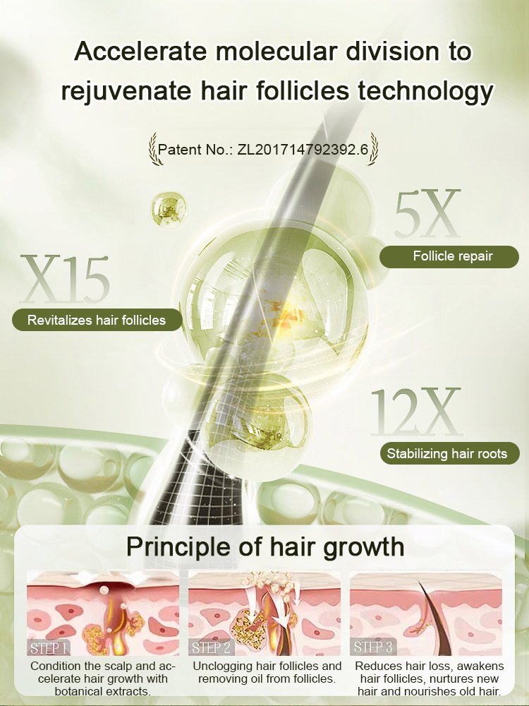 Hot Sale Ginger Plant Extract Anti-Hair Loss Hair Shampoo