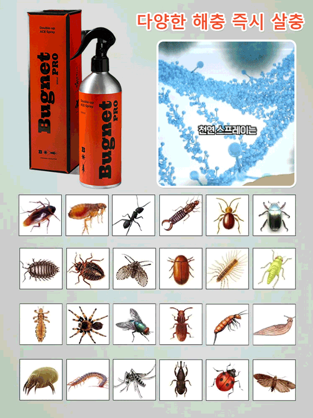 가정용 전체 바퀴벌레 살충제