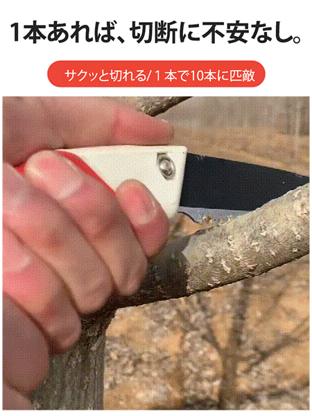 切れ味抜群のノコギリ