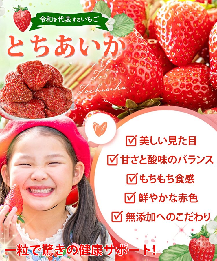 【甘酸っぱいドライストロベリー】限定1点1,495円