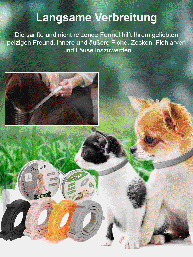 Haustier Entwurmungshalsband