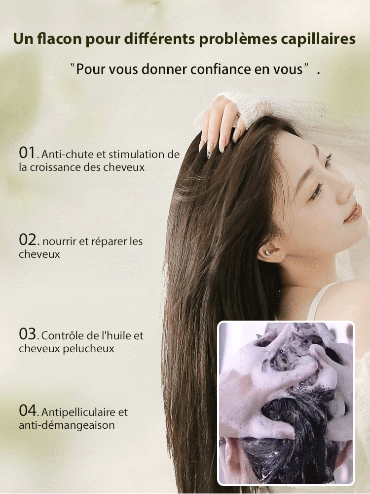 Hot Sale Ginger Plant Extract Anti-Hair Loss Hair Shampooing