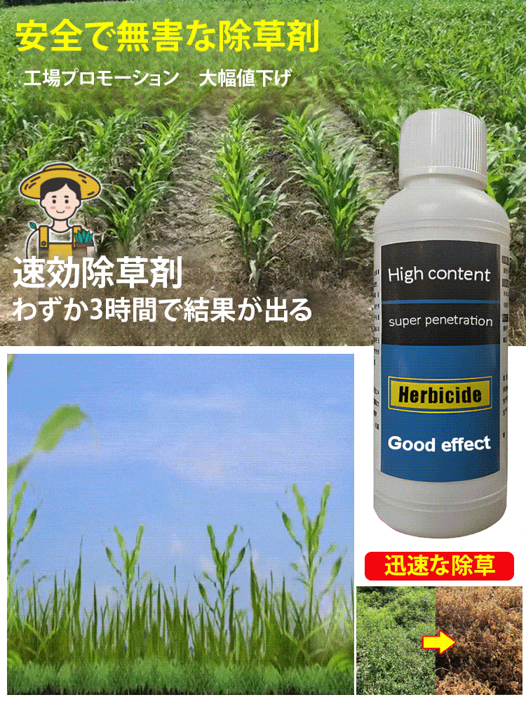 【10分で1,000種類以上の耐性雑草を根絶】東京農業大学が推奨する2025年超強力除草剤❤️土壌に無害