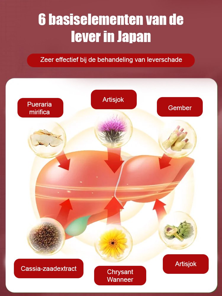 Mariadistel Ginseng Fo Shou Leverbescherming Pleister