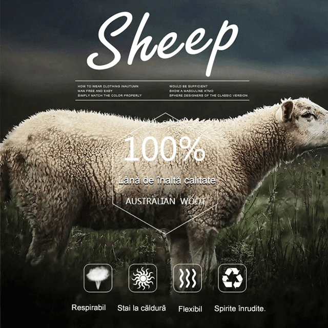 Pantaloni casual de iarnă cu talie înaltă și talie elastică, set de două piese