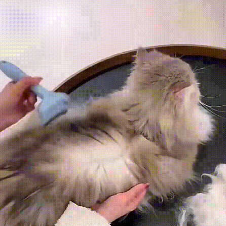 펫 클린징 및 떠다니는 털 제거용 털 정리기