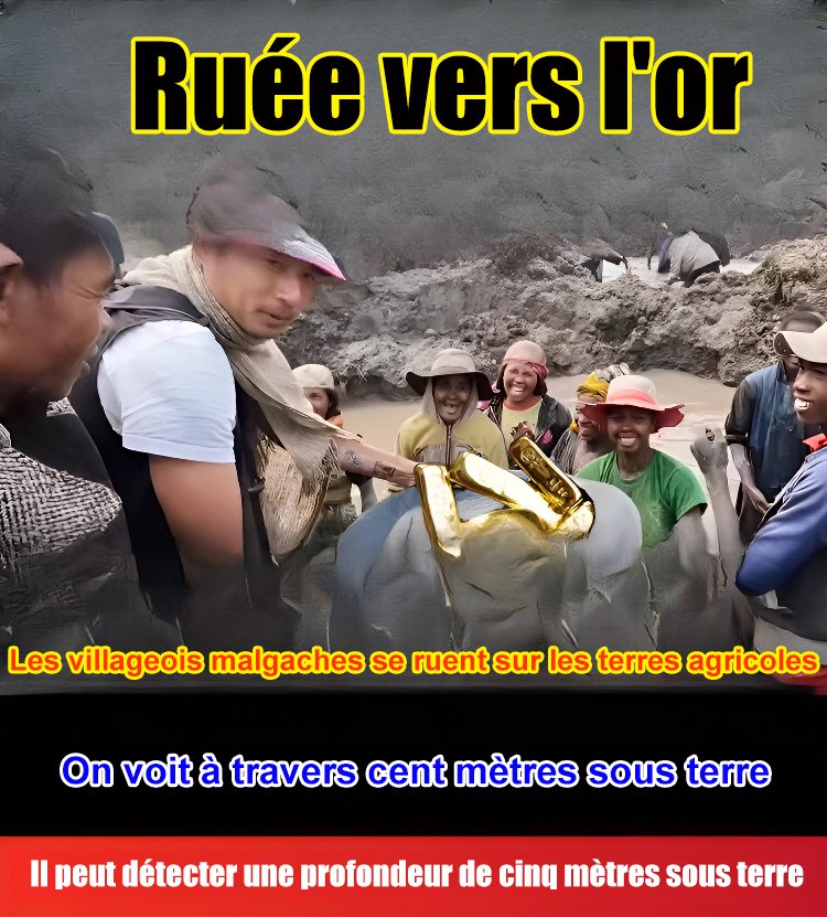 Détecteurs de métaux portatifs à haute sensibilité