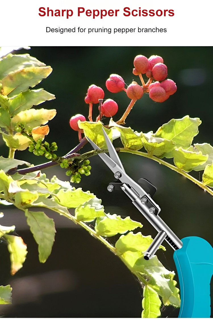 Easy-to-use fruit branch pruner for home garden