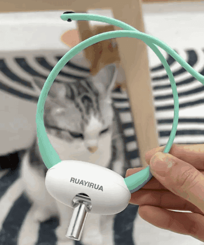 レーザーポインター付き猫用首輪 