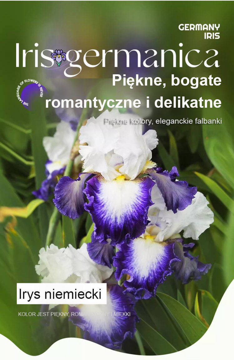 Opakowanie nasion irysa odpornych na mróz i upał