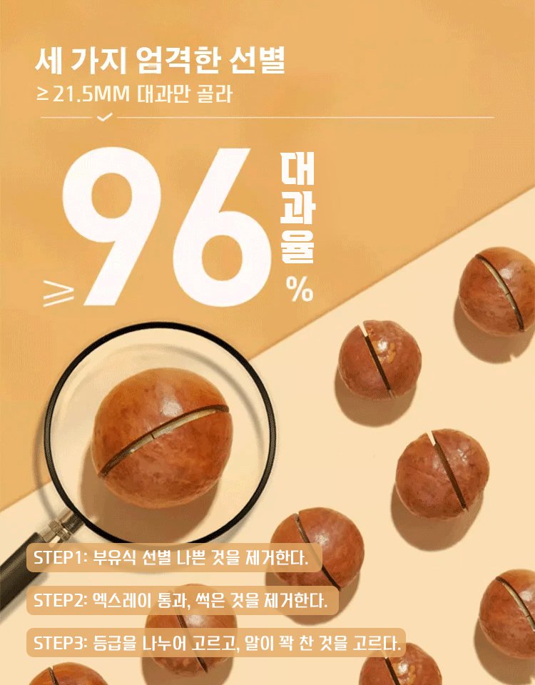 【산지 직송】크림 맛 큰 알갱이 하와이산 마카다미아