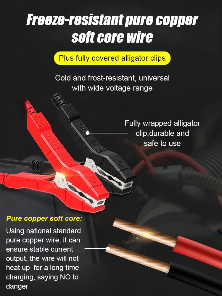 Car Battery Repair Charger