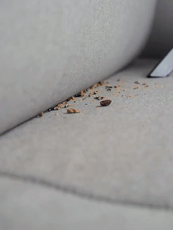 コードレスハンディ掃除機