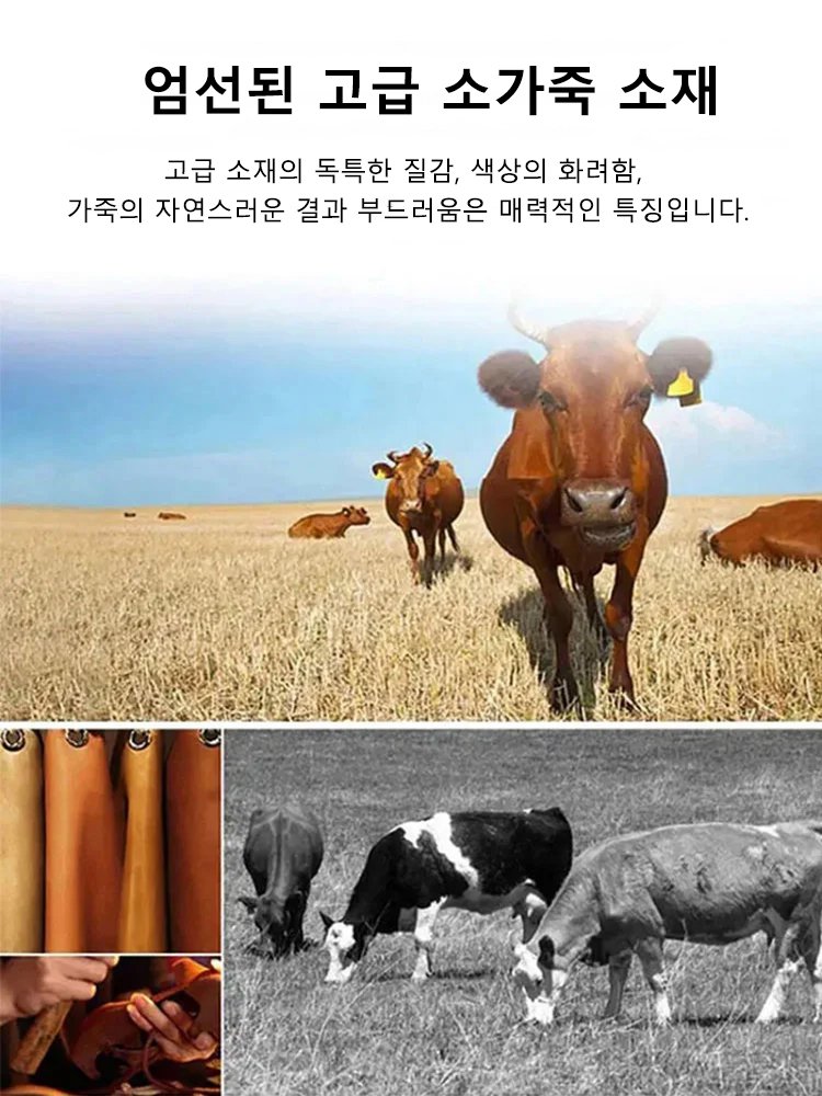 【공간 절약】차량용 다기능 시트 수납함