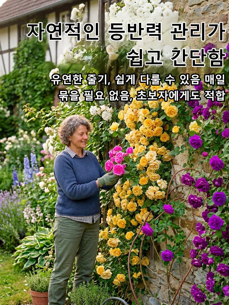 [씨앗 하나가 꽃바다를 이룬다] 사계절 덩굴장미 씨앗