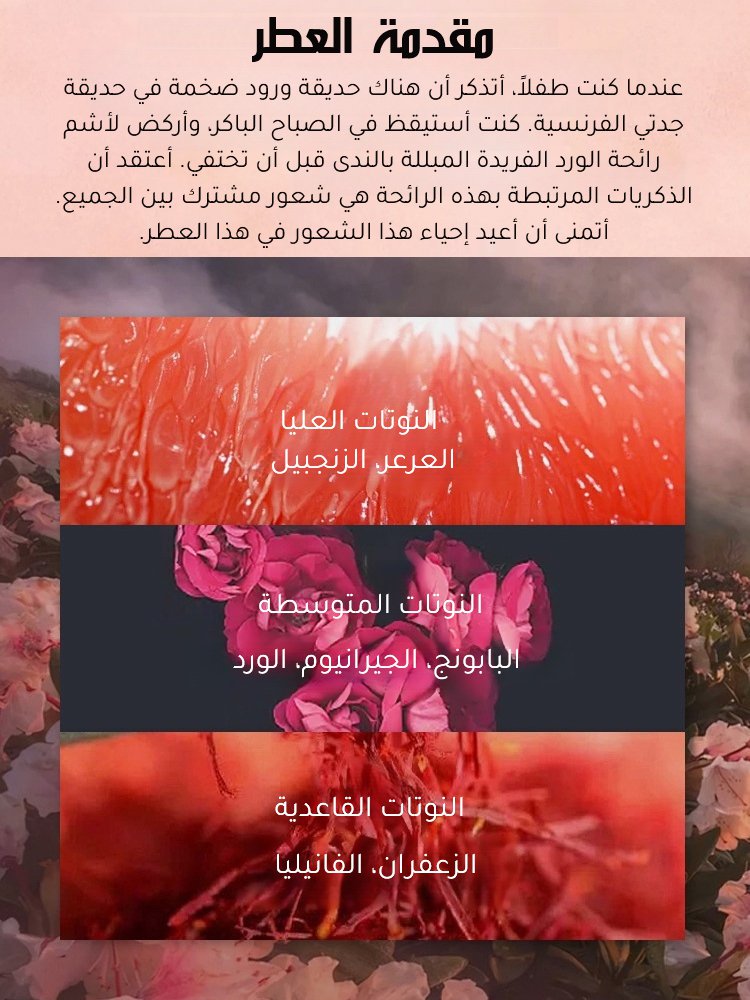 عطر نسائي أصلي برائحة DELINA من ماركة مشهورة بسعة 75 مل